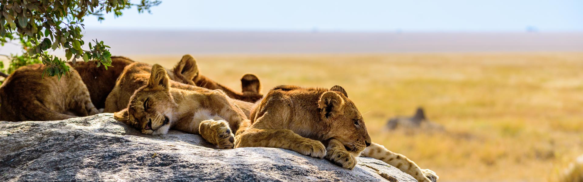 Kenya