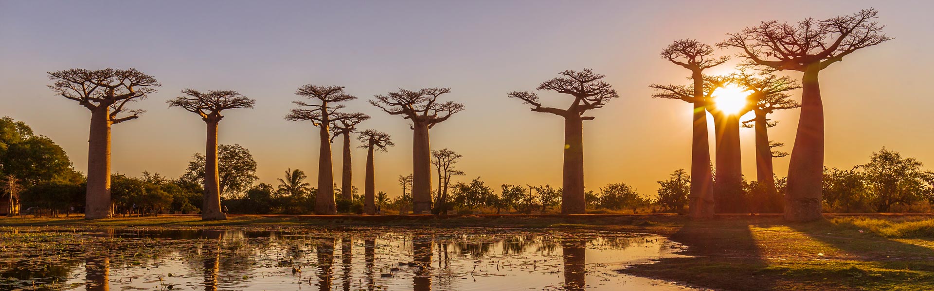 Madagascar