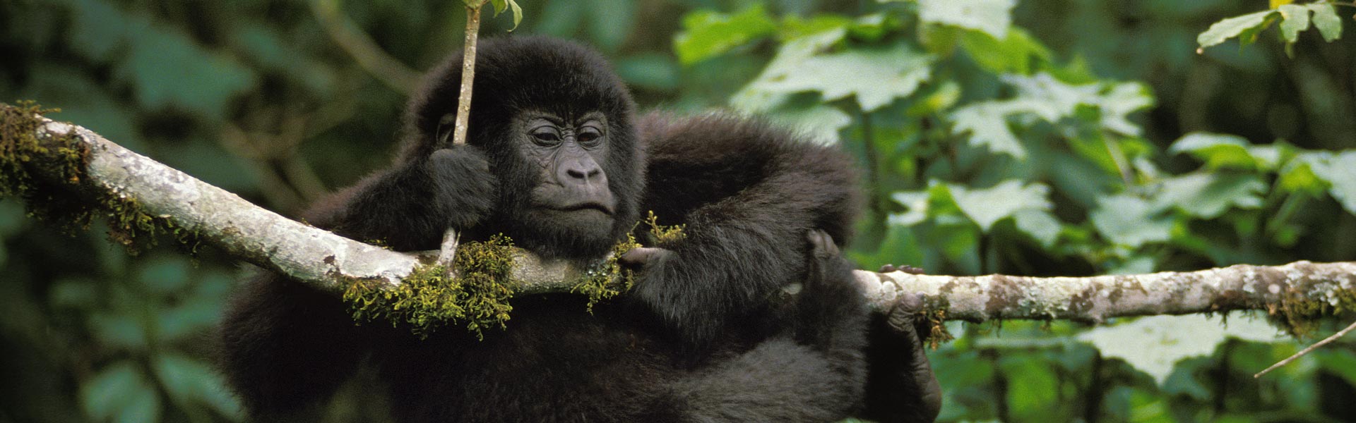 Rwanda