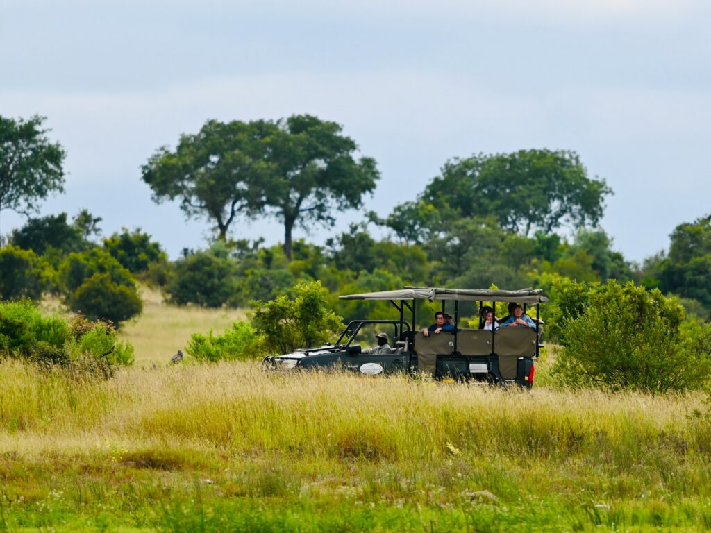 A Family on Safari