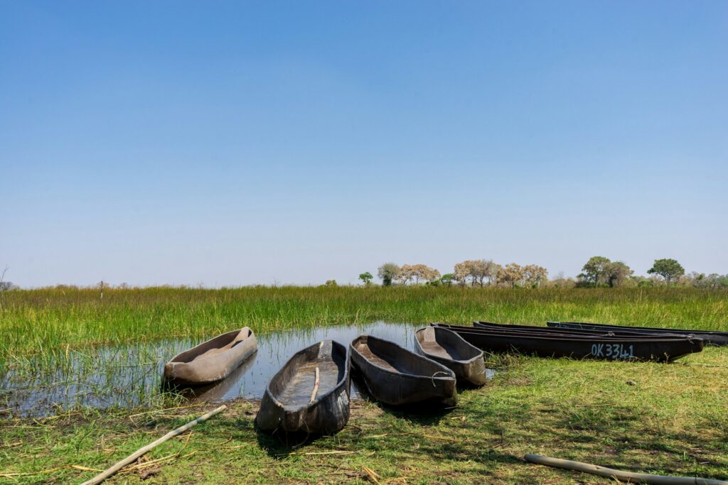 Boat Safaris in the Okavango Boat Safaris in the Okavango