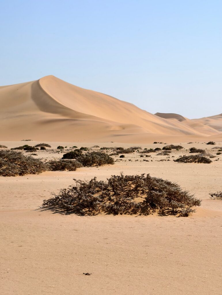 Dunes in Namibia