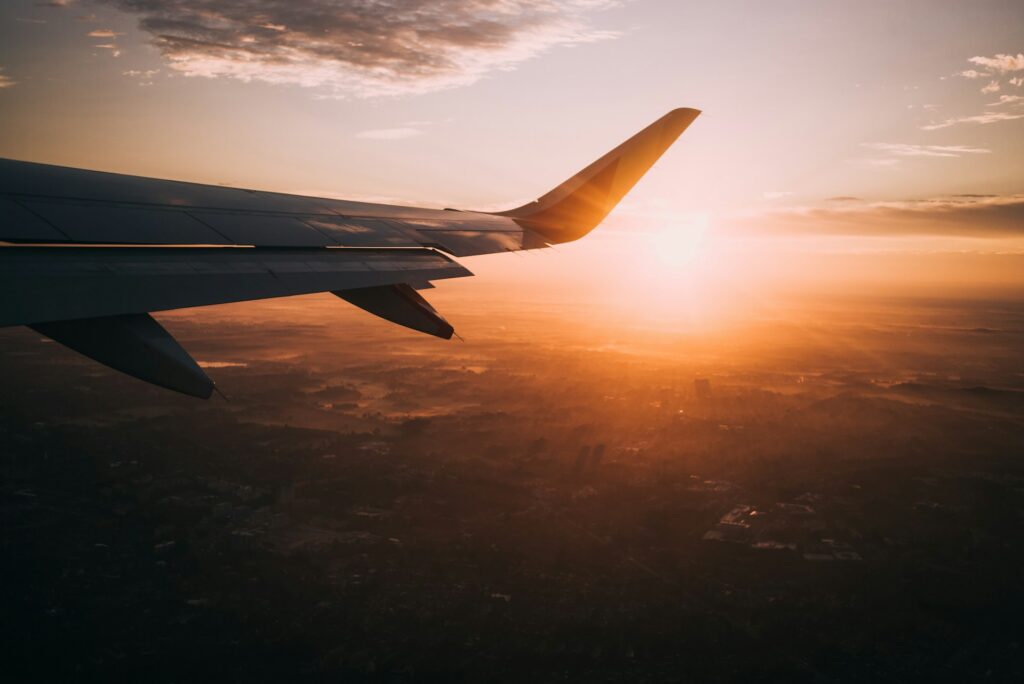 SARS Online Traveller Declaration System