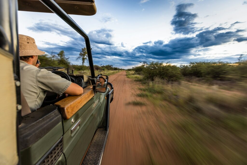 Tier-Safari