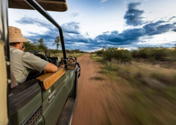 Wildlife Safari