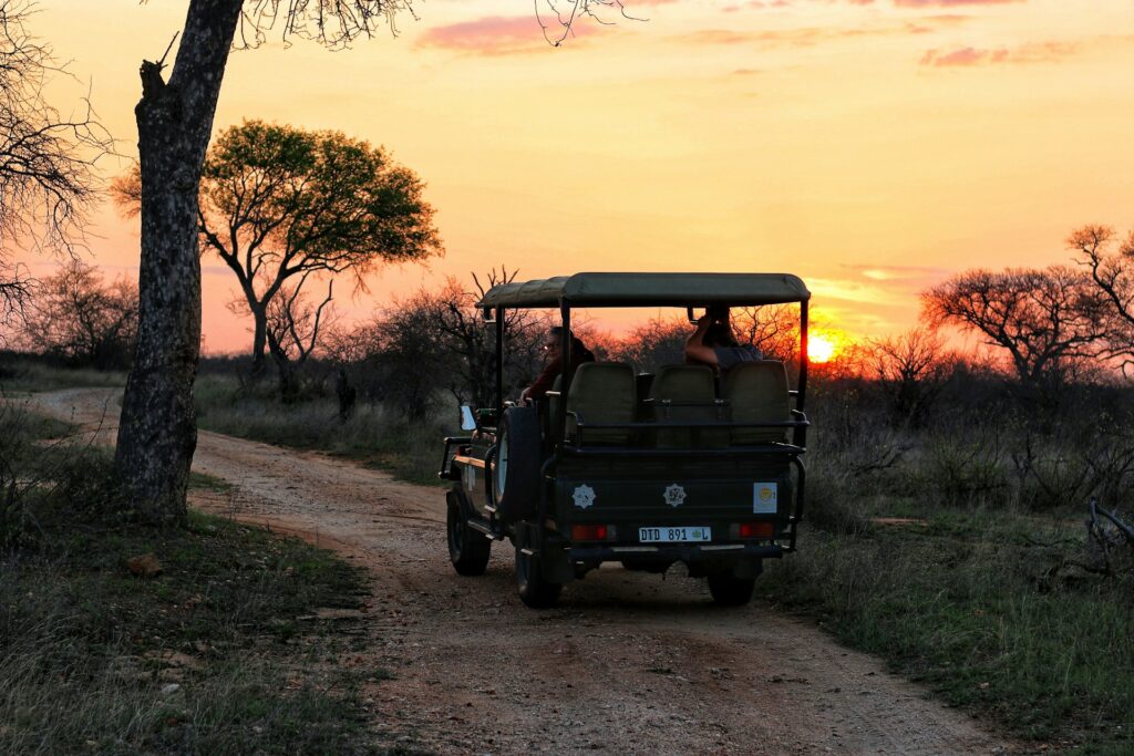 Big 5 Safari Game Drive in Africa