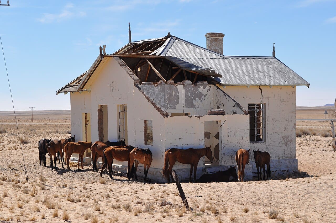 Red African Book A Guide to the Tiny Town of Aus, Namibia