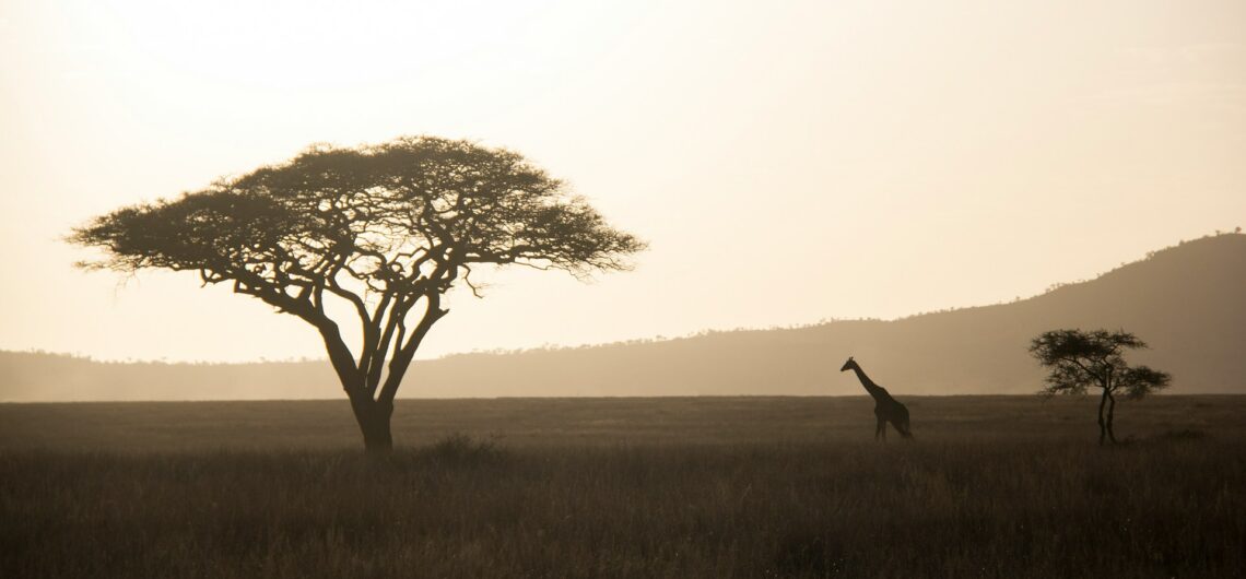 Low-Impact Tours in Africa