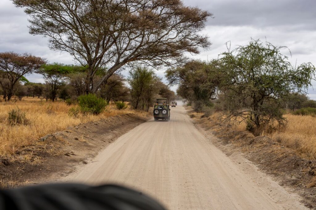 Safari in Tanzania