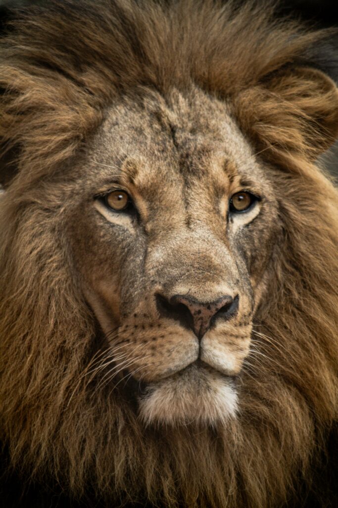 Travelling During Off Peak Season in Africa