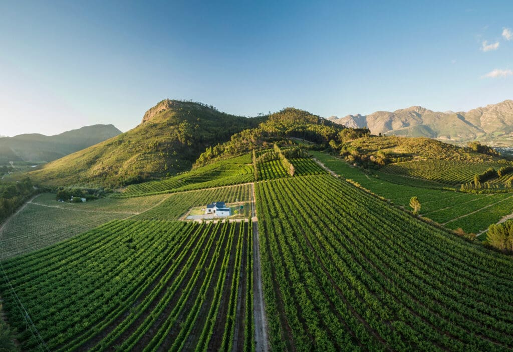 Cape Winelands Franschoek South Africa Wine Farms Vineyards