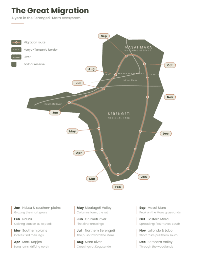 Migaration Map