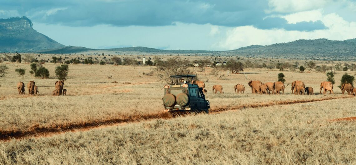 Slow Safaris