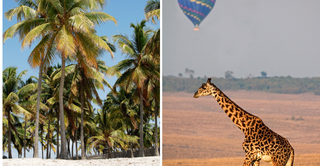 Africa Beach and Safari Destinations