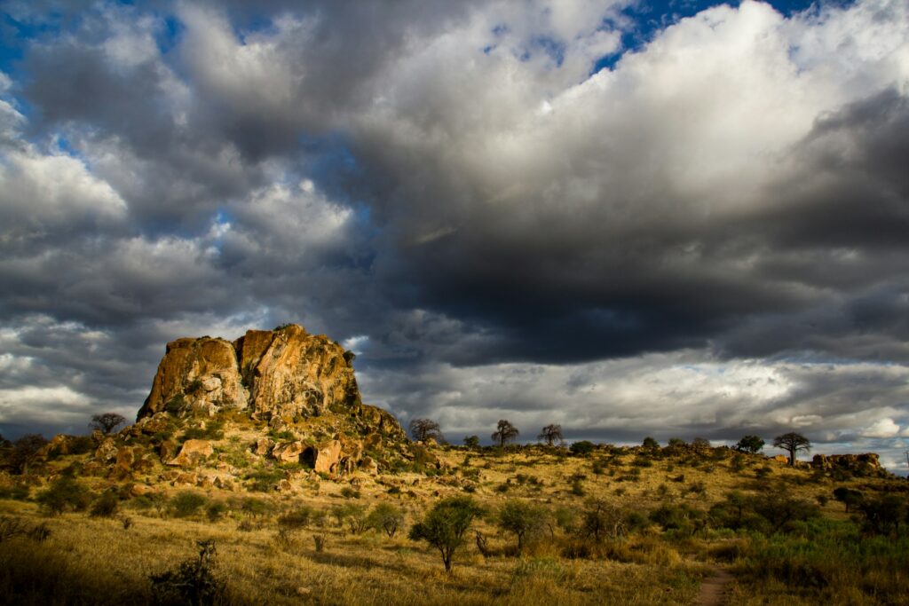 Mapungubwe National Park