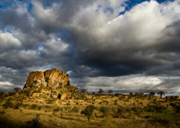Mapungubwe National Park