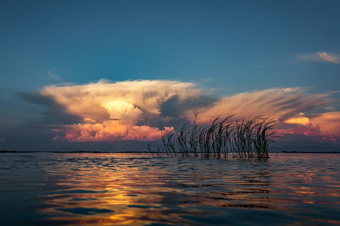 Malawi Safari